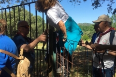 IMG-20190518-WA0011