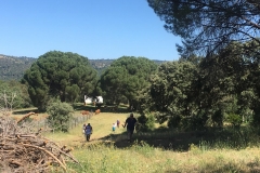 IMG-20190518-WA0012