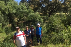 IMG-20190518-WA0014