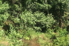 IMG-20190518-WA0017