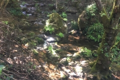 IMG-20190518-WA0020