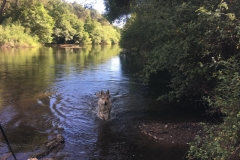 IMG-20190518-WA0026